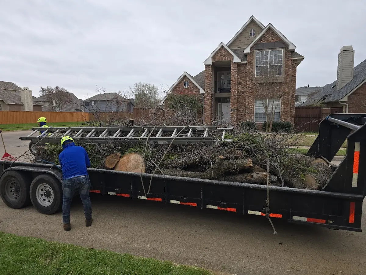Expert Tree Pest Control with proper safety equipment in Waleska